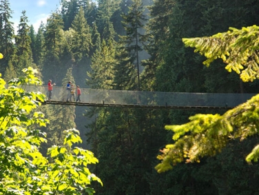 פארק הגשרים התלויים