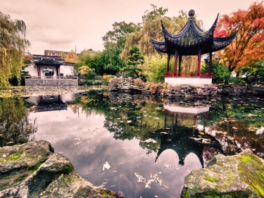 גן הידידות הסיני