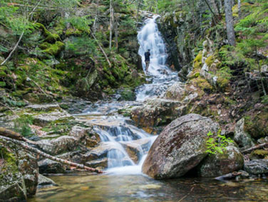 פארק קרופורד נוץ'