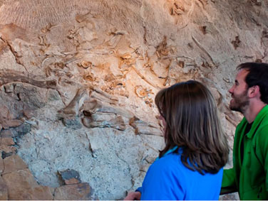 דינוזאור נשיונל מוניומנט