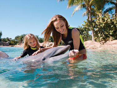 מפרץ התגליות