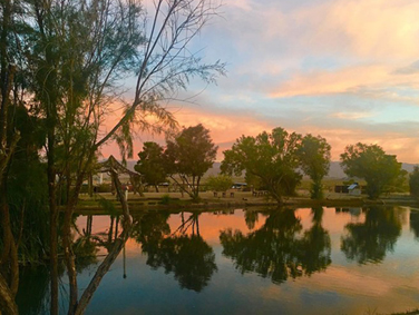 חניון בפארק ג'ושוע טרי