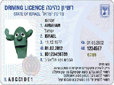 רישיון נהיגה בין לאומי