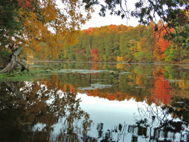 פארק מירור לייק