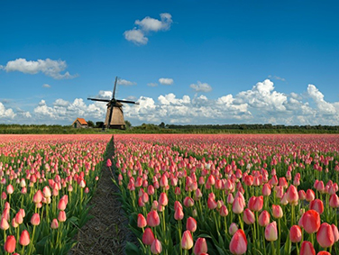 טיול קרוואנים להולנד