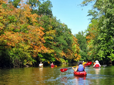 פעילויות טבע ברוט ריבר