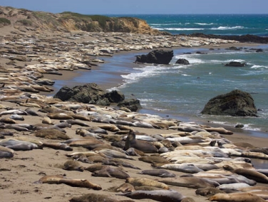 חניון ליד טירת הרסט
