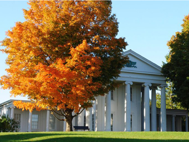 מוזיאון שלבורן