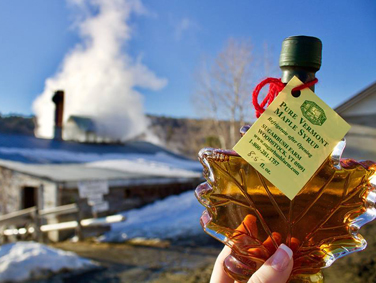 חוות גבינות ומייפל