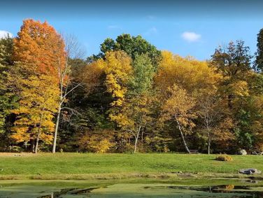 חניון ליד ניוברג