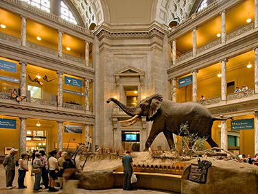 המוזיאון הלאומי להיסטוריה של הטבע