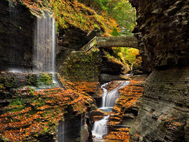 פארק ווטקינס גלן