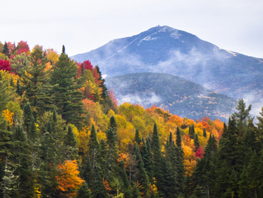 הר וויטפיייס
