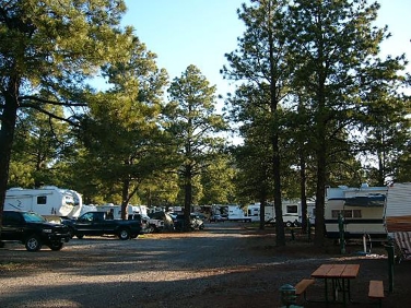 חניון צפונית לוויליאמס