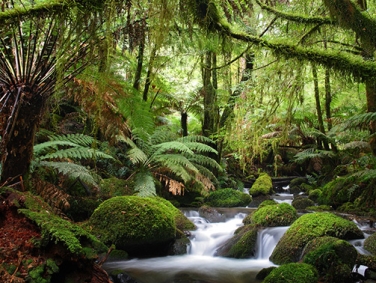 פארק יארה ריינג'ס