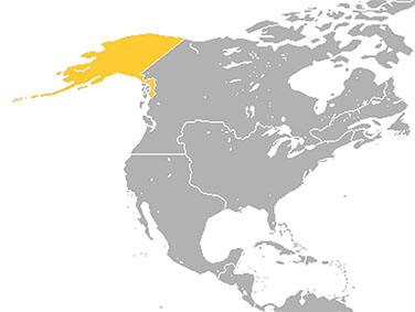 קרוואן במבצע באלסקה