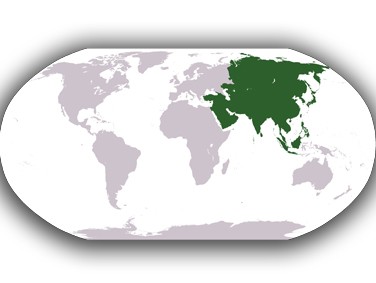 השכרת קרוואנים באסיה