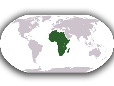 השכרת קרוואן באפריקה