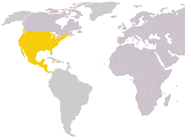 תקע אמריקאי