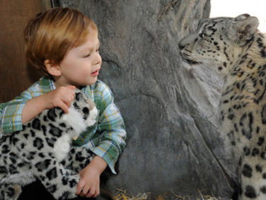 גן החיות בסנטרל פארק
