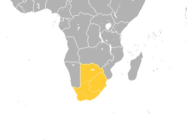 קרוואן בדרום אפריקה