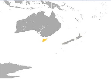 קרוואן באוסטרליה