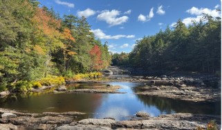 ליאור_מרקוביץ__7