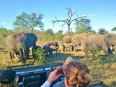ספארי הארדנים