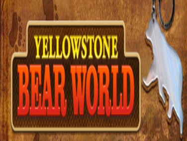 עולם הדוב בילוסטון