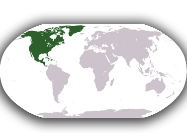 השכרת קרוואן בצפון אמריקה