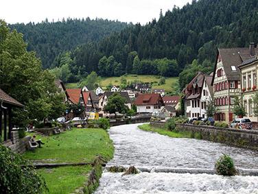 פסח 2019 - אל היער השחור