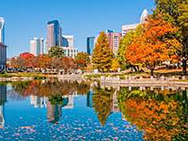 קרוואן שרלוט